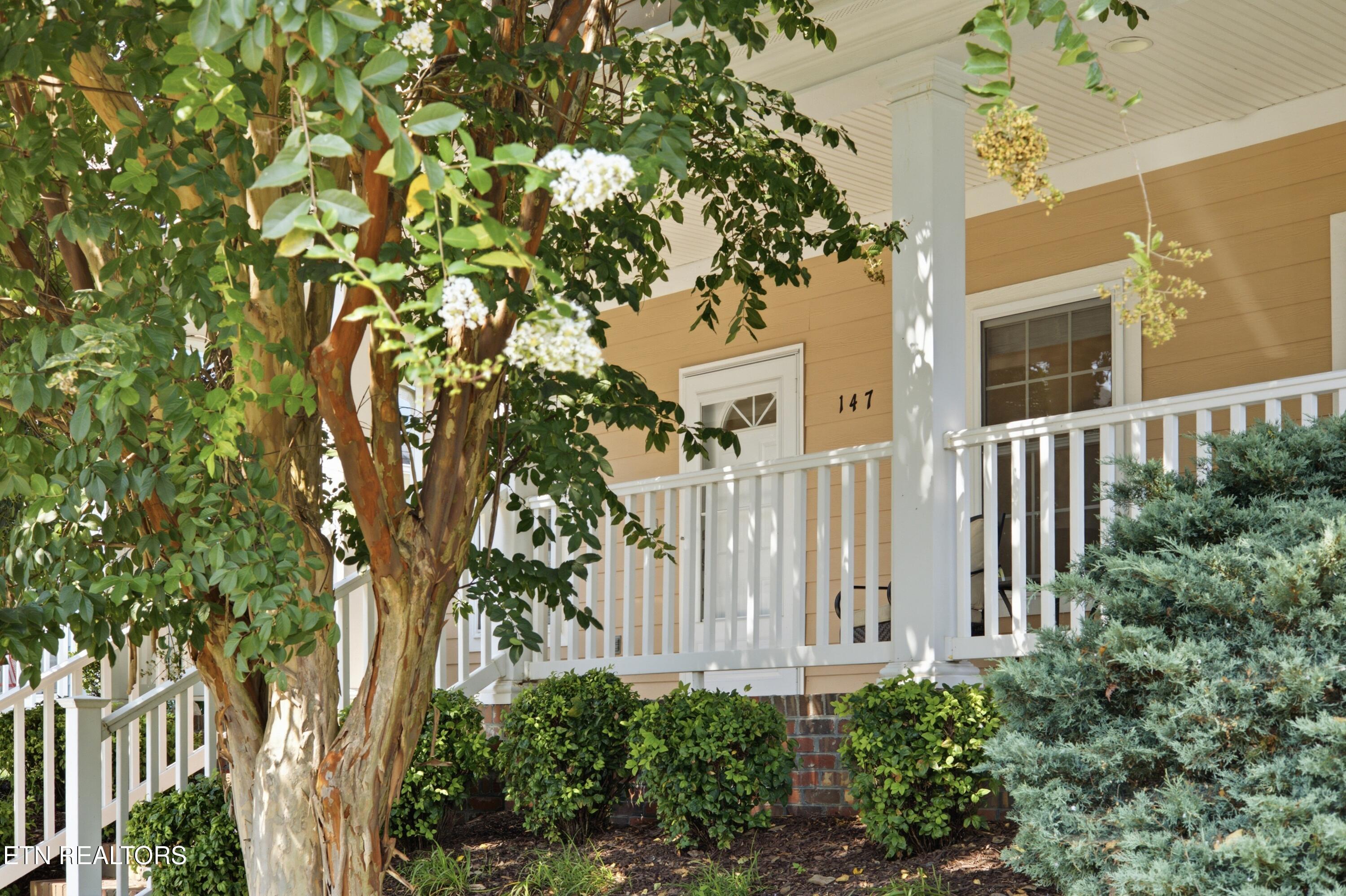 147 Liberty Court Oak Ridge, TN 37830 - Photo 1 of 33 SPOT5518