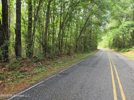 $528,000 | Harry Sones Road, Carriere, MS 39426
