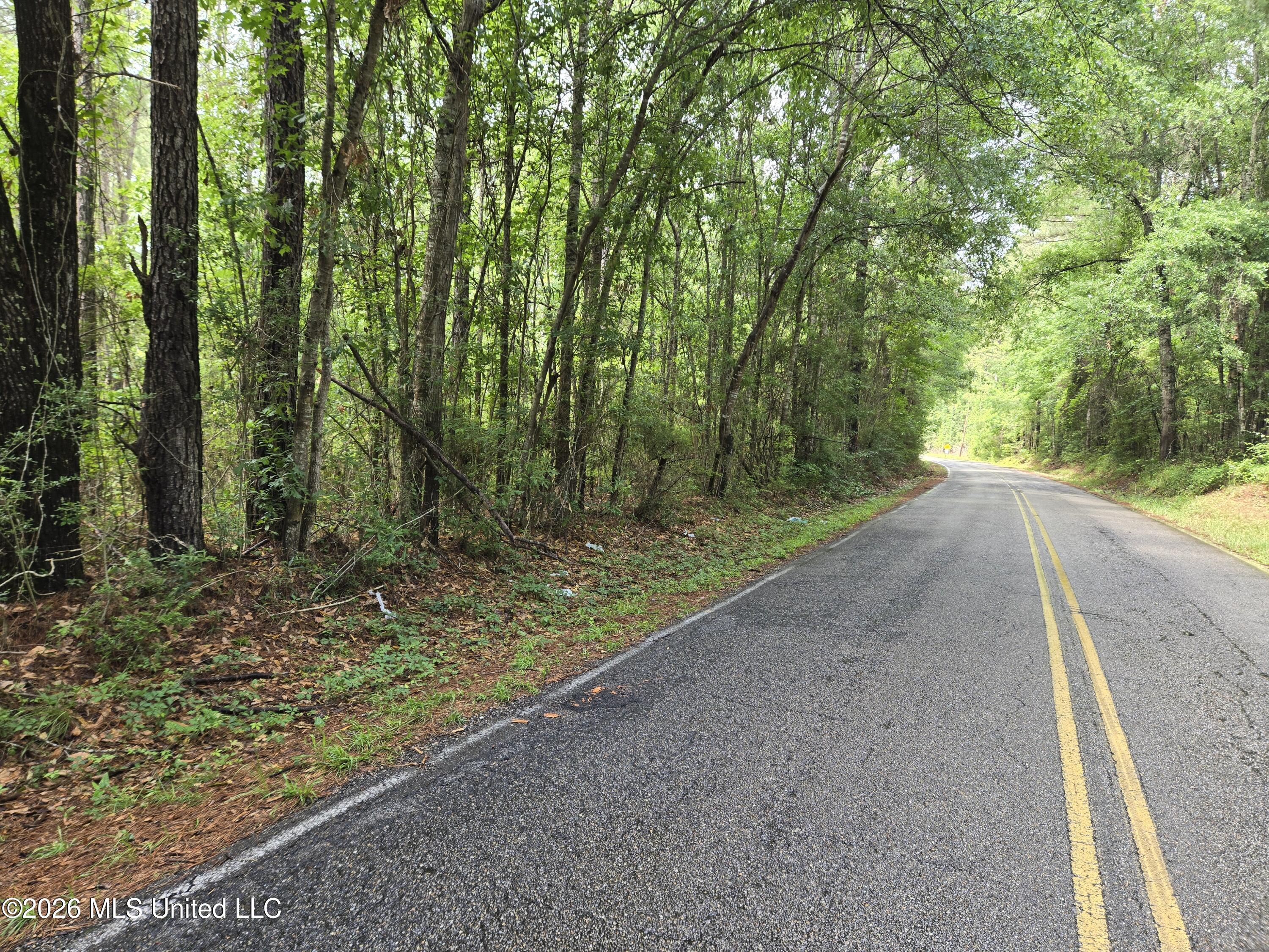 Harry Sones Road Carriere, MS 39426 - Photo 3 of 3 20260526_141439