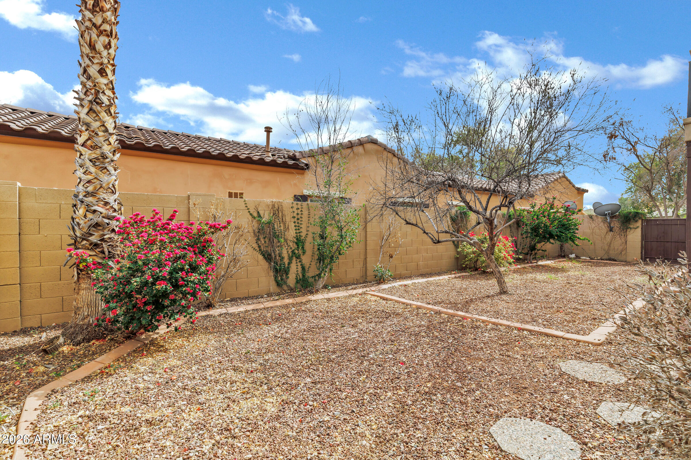 20982 West Edith Way Buckeye, AZ 85396 - Photo 45 of 57 a view of a garden