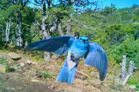 13045 Picketwire Road Boncarbo, CO 81024 - Photo 34 of 40 a view of a yard