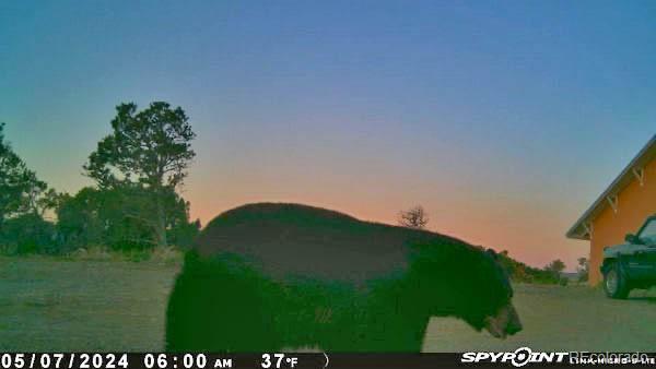 13045 Picketwire Road Boncarbo, CO 81024 - Photo 35 of 40 a view of a big yard
