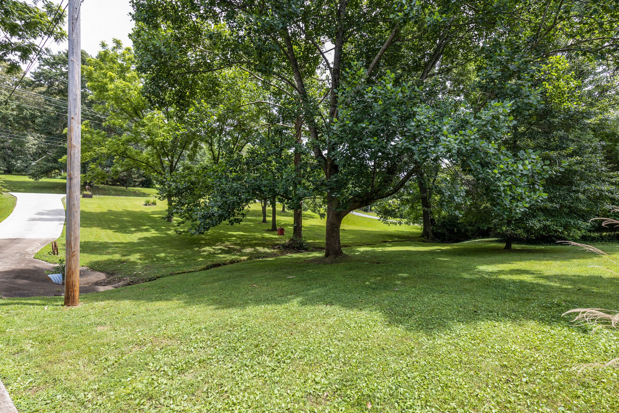 7316 Chester Road Fairview, TN 37062 - Photo 4 of 29 a view of a yard with a tree