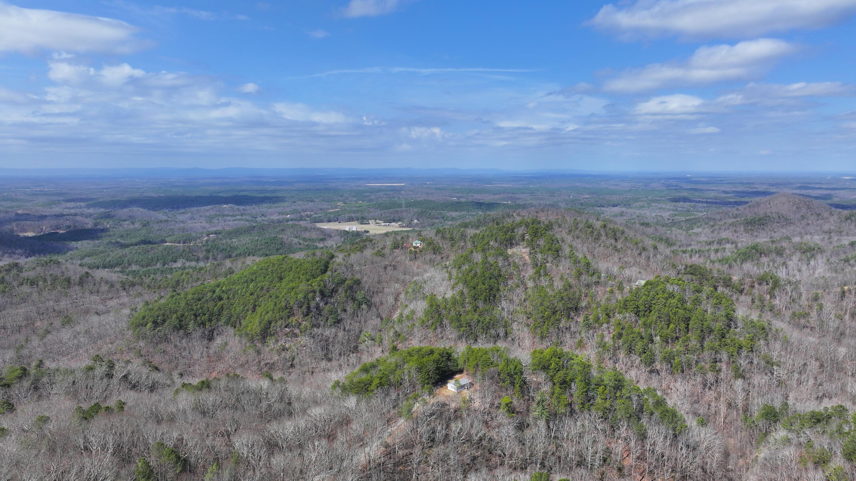 123 Adair Drive Ranger, GA 30734 - Photo 44 of 95 DJI_20250304124340_0059_D