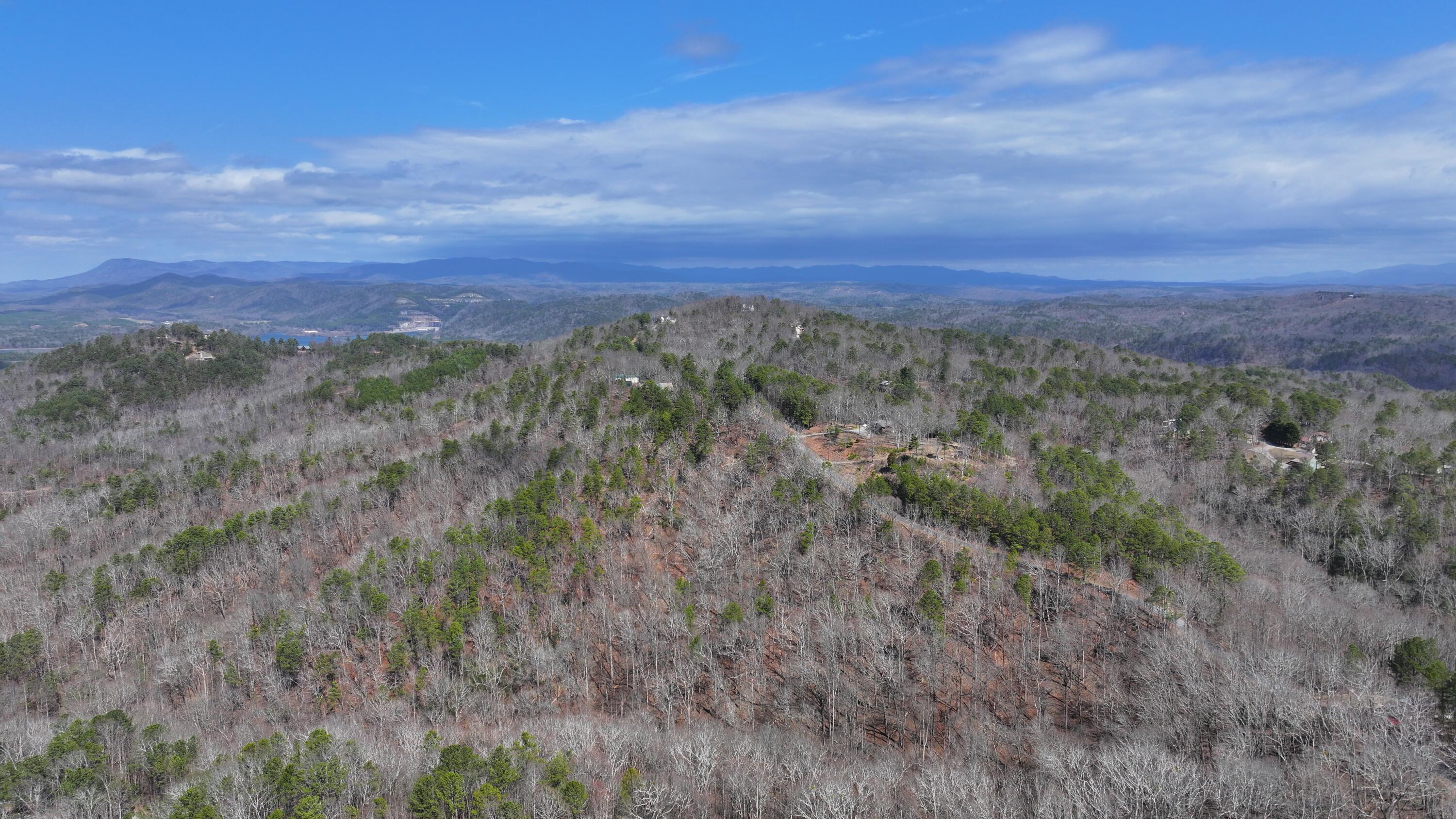 123 Adair Drive Ranger, GA 30734 - Photo 46 of 95 DJI_20250304124345_0061_D