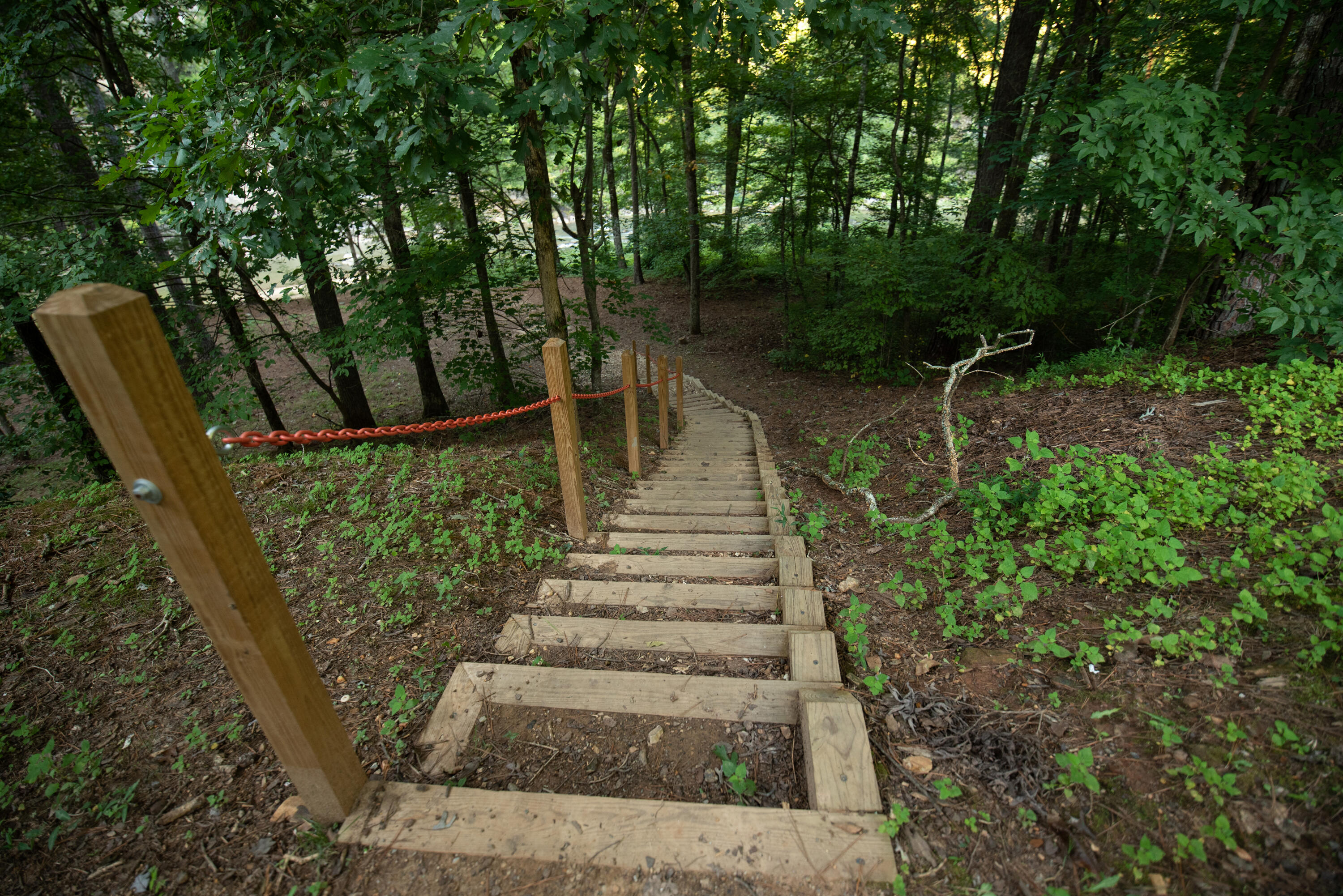 123 Adair Drive Ranger, GA 30734 - Photo 75 of 95 TalkingRock(8of19)