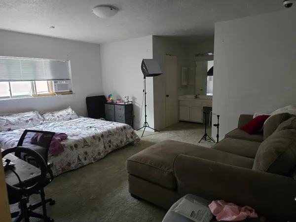 a bedroom with a bed couch and a window