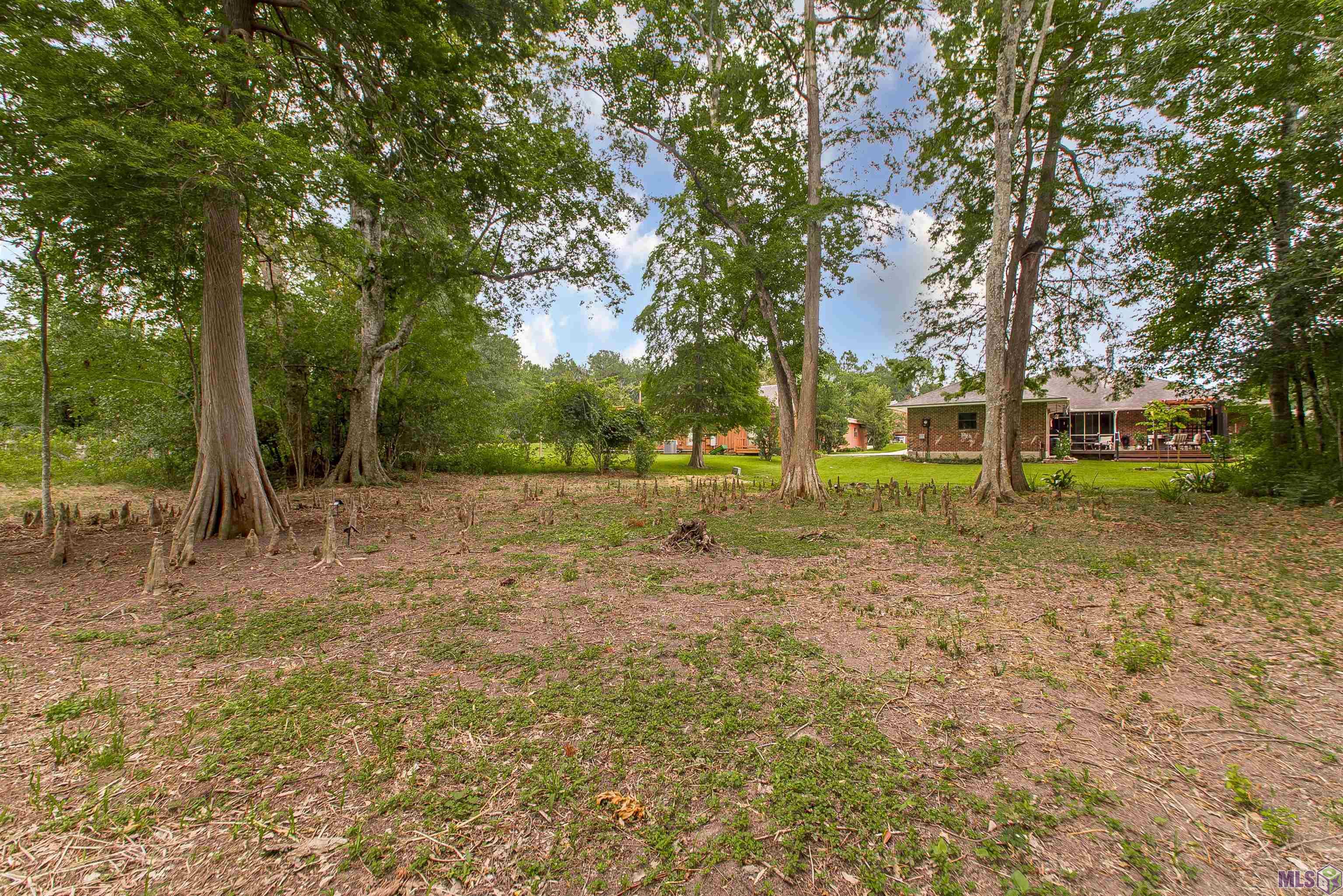 1011 Forge Avenue Baton Rouge, LA 70808 - Photo 23 of 25