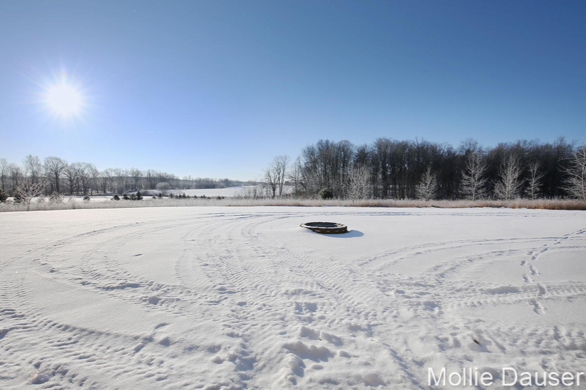 14316 Strotheide Road Northeast Belding, MI 48809 - Photo 35 of 35 IMG_8233