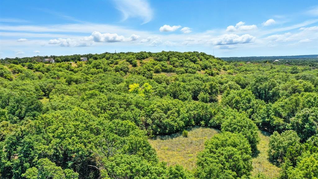 395 Pepper Lane Weatherford, TX 76088 - Photo 19 of 24 Bird's eye view of a heavily wooded area