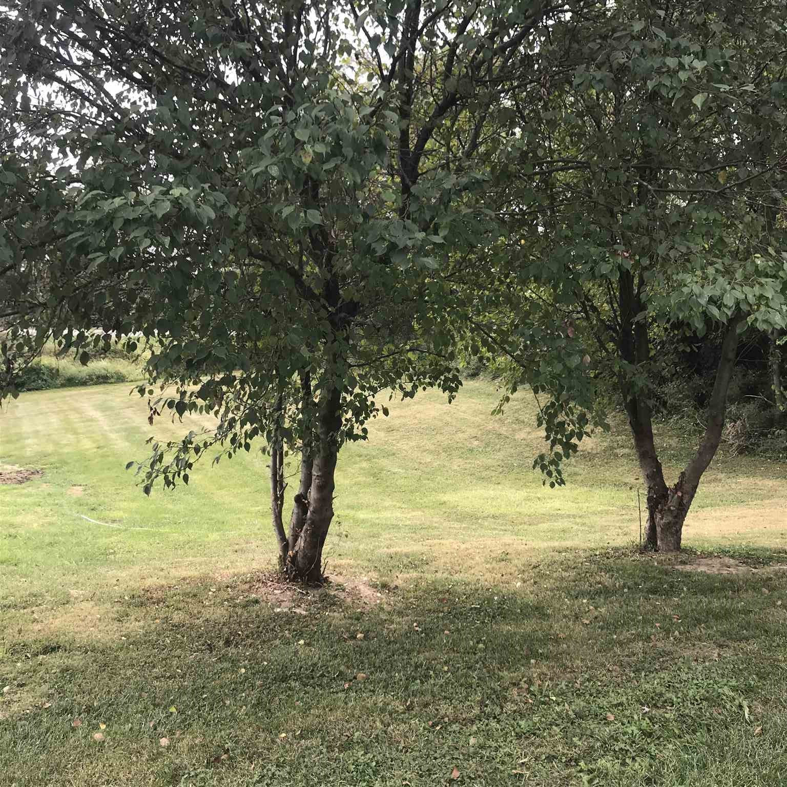 6765 Warsaw Road Dry Ridge, KY 41035 - Photo 24 of 27