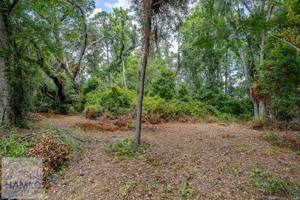 0 Nesbit Road Jesup, GA 31545 - Photo 23 of 35 Gallery Image 23