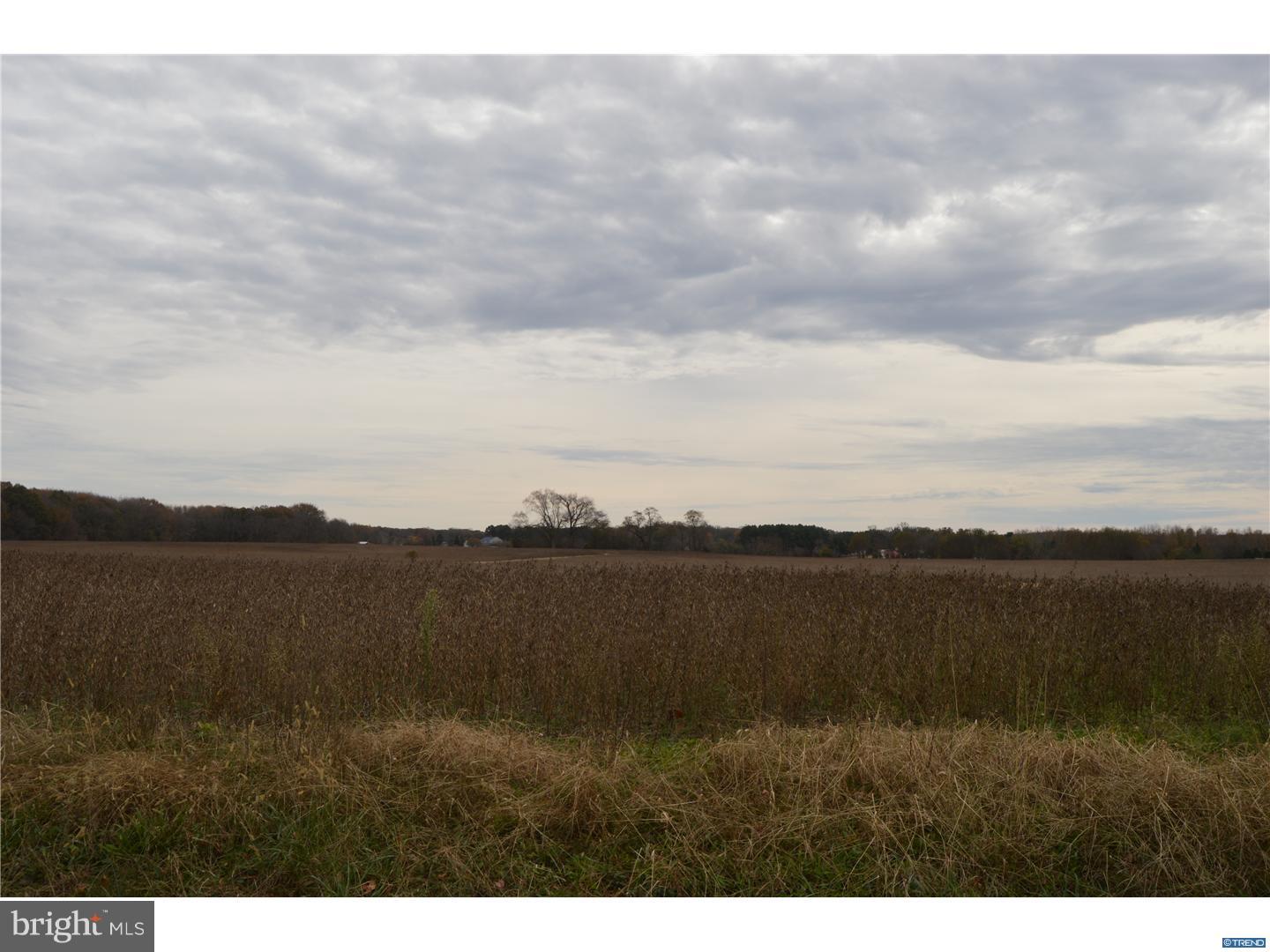 44-acres Halltown Road Hartly, DE 19953 - Photo 1 of 2 Gallery Image 1