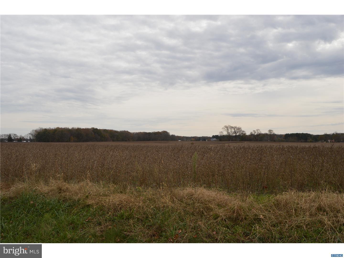 44-acres Halltown Road Hartly, DE 19953 - Photo 2 of 2 Gallery Image 2