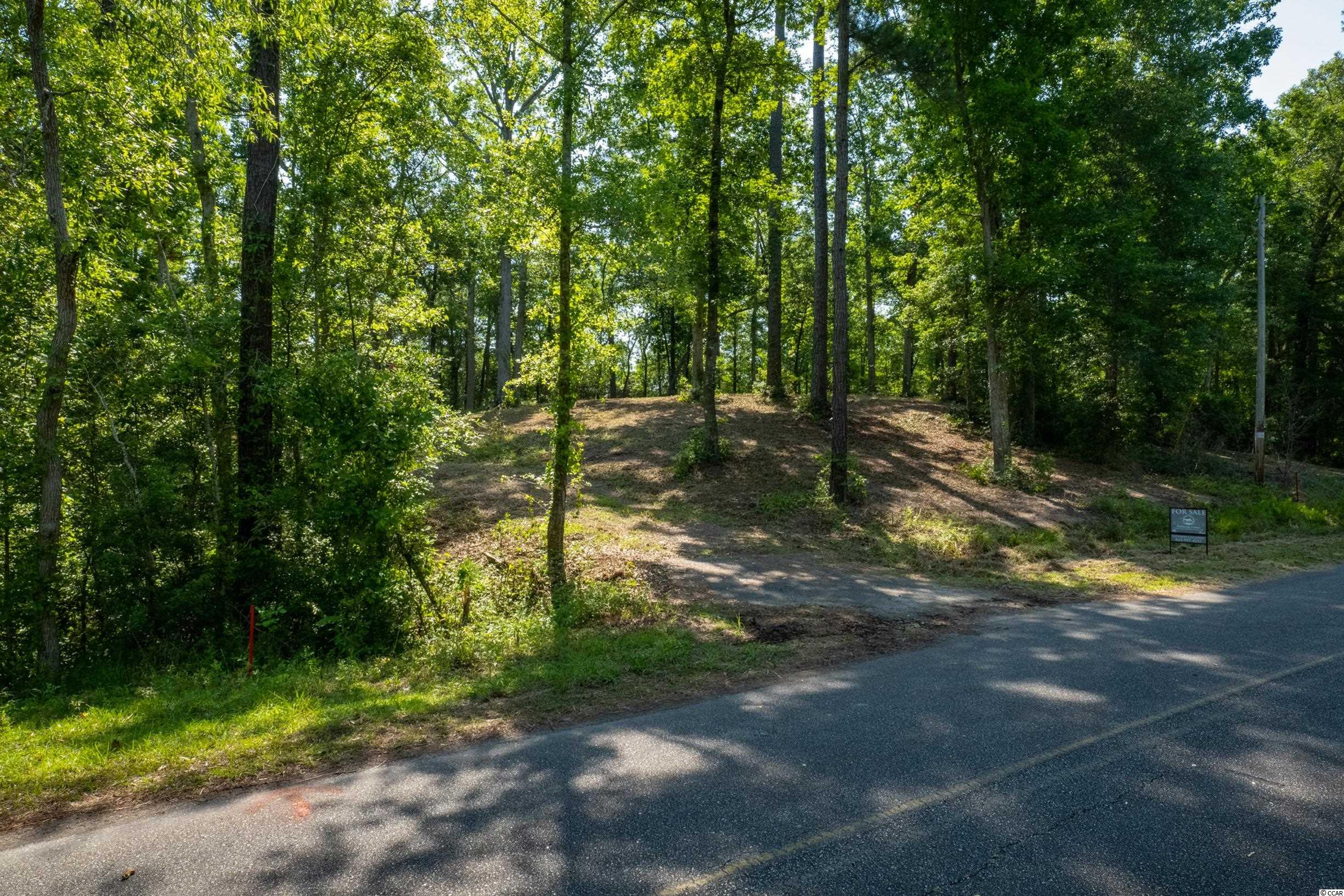 Tbd Francis Marion Drive Georgetown, SC 29440 - Photo 13 of 28