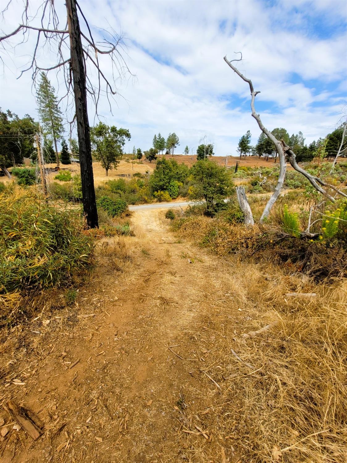 9985 Wendell Road Mountain Ranch, CA 95246 - Photo 13 of 83 Dirt Road that leads to Building Pad.