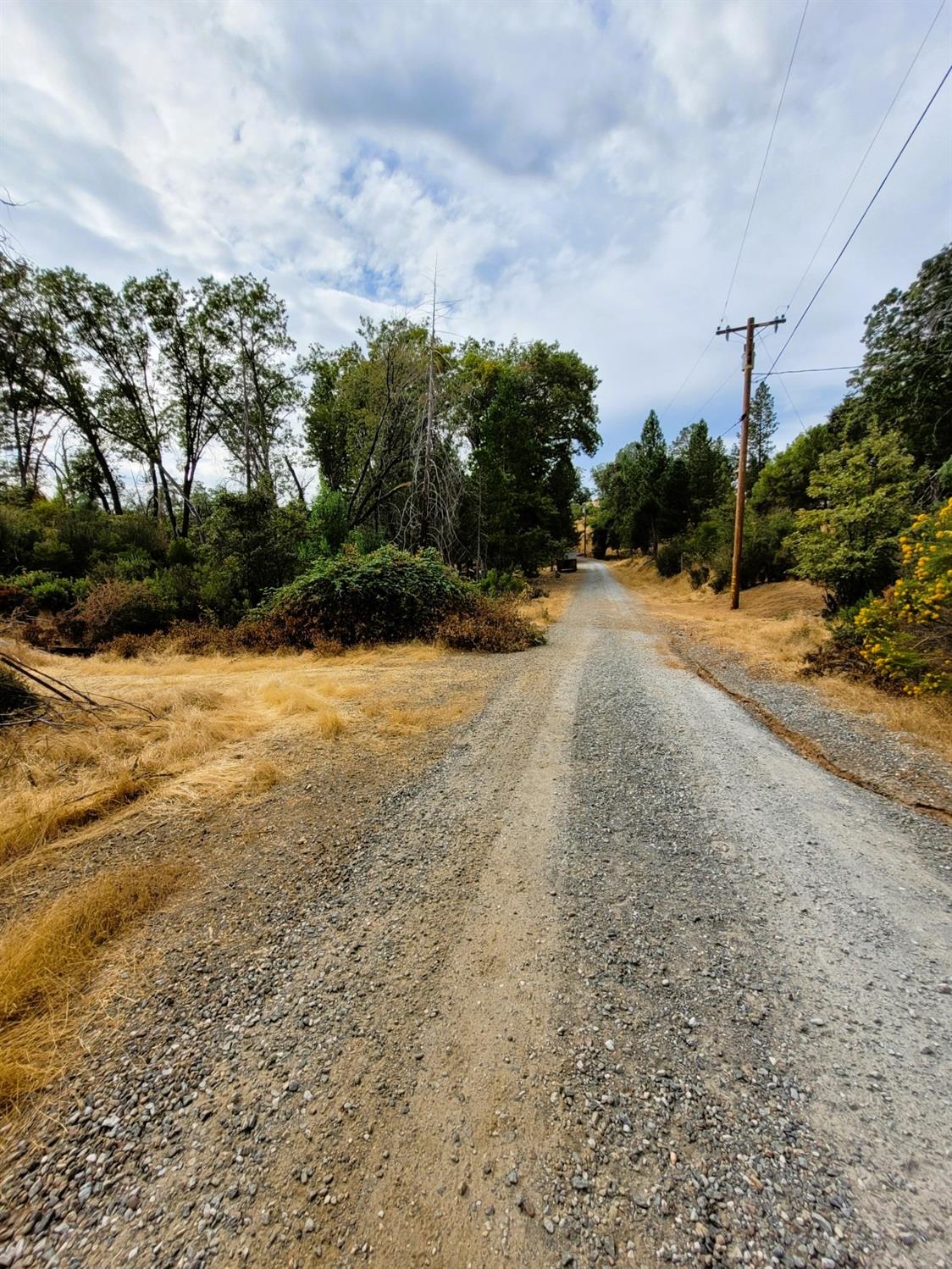 9985 Wendell Road Mountain Ranch, CA 95246 - Photo 15 of 83 Dirt Road off of Wendell Rd to Building Pad.