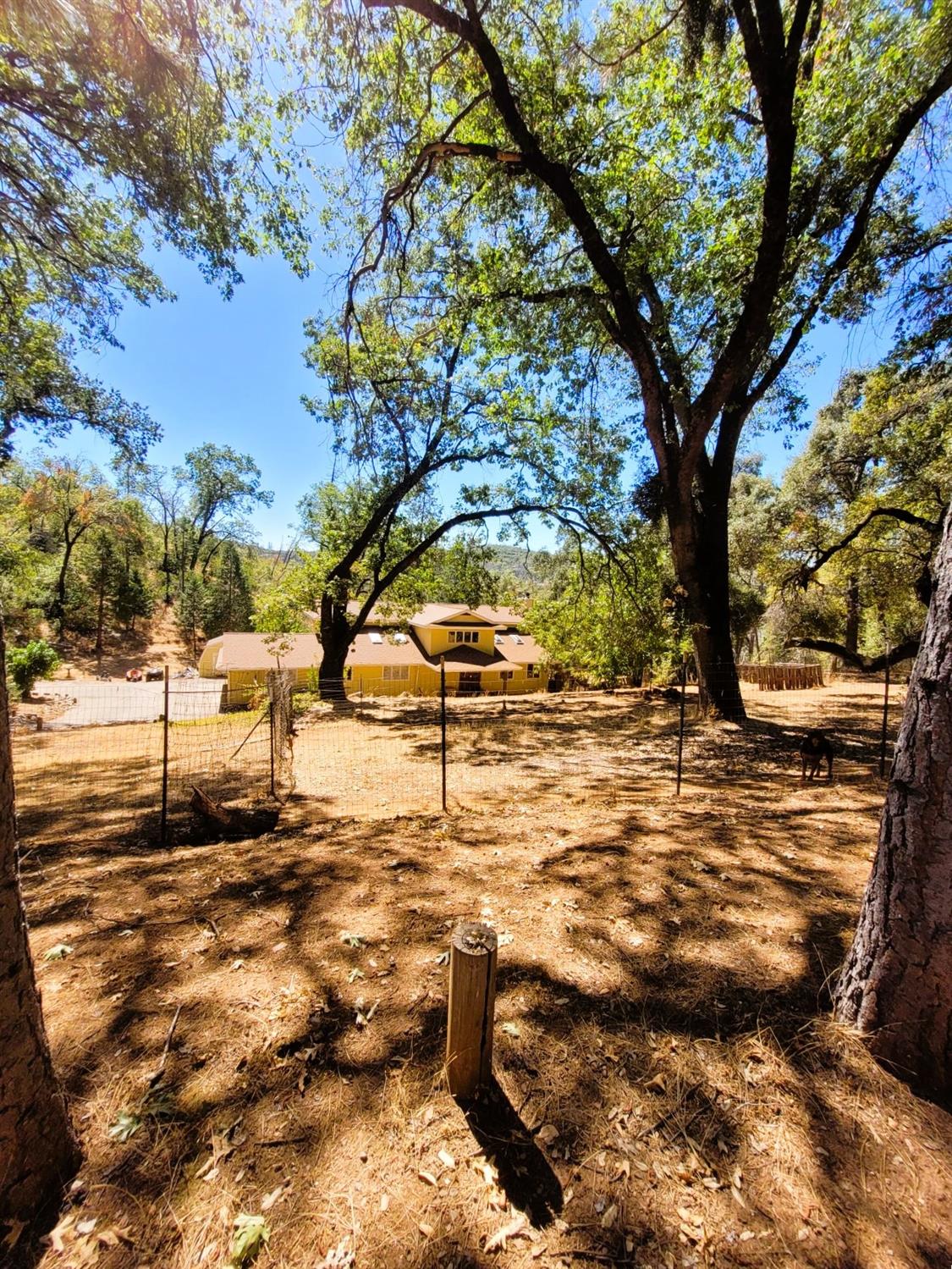 9985 Wendell Road Mountain Ranch, CA 95246 - Photo 17 of 83