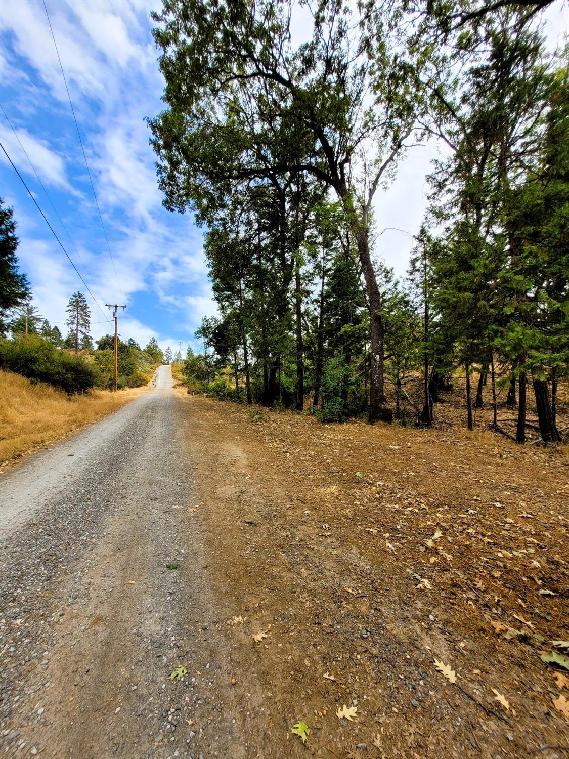 9985 Wendell Road Mountain Ranch, CA 95246 - Photo 62 of 83
