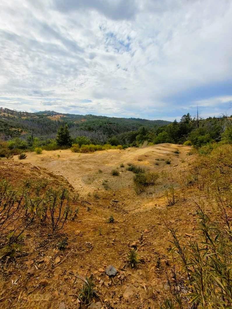 9985 Wendell Road Mountain Ranch, CA 95246 - Photo 64 of 83