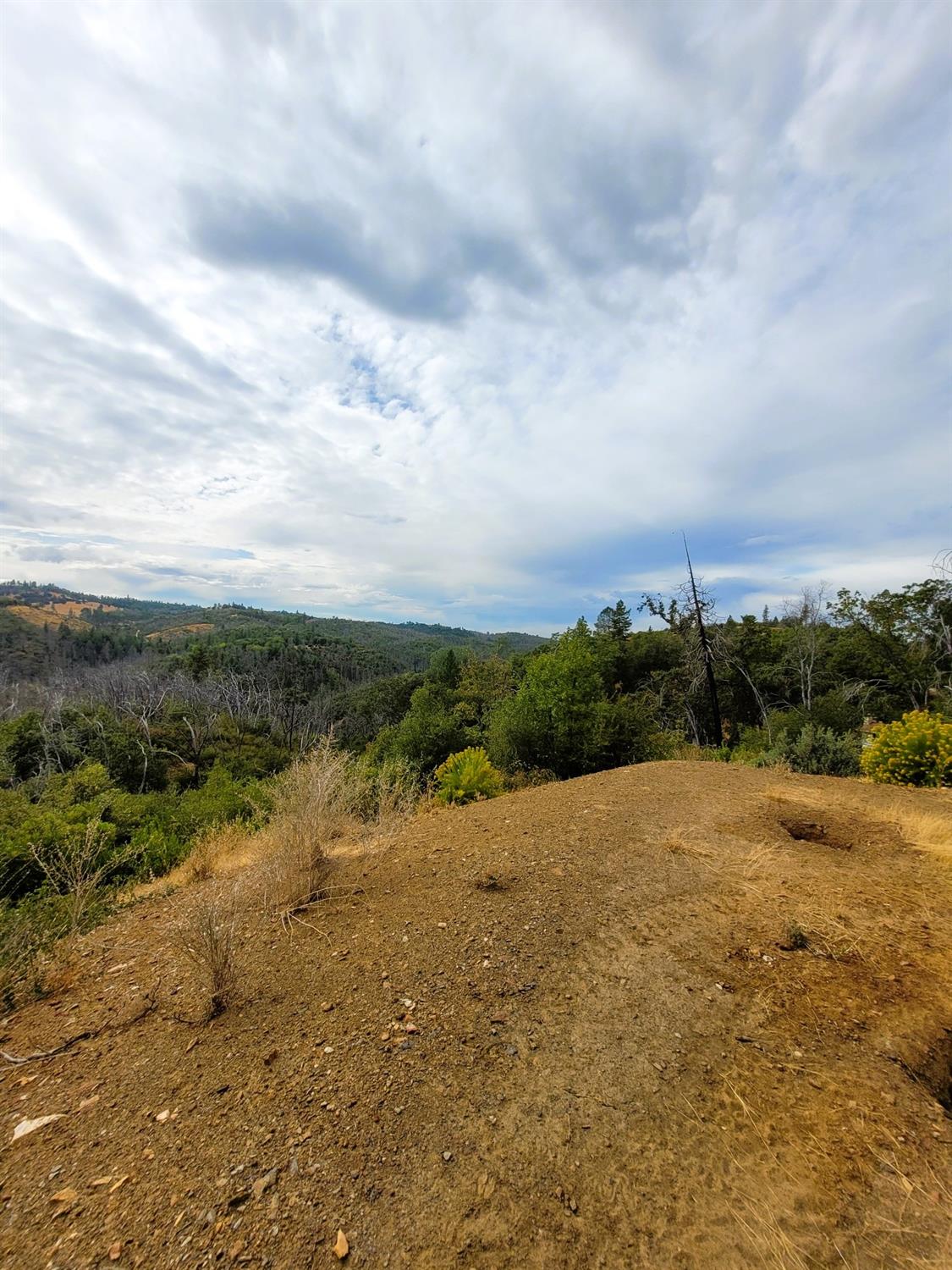9985 Wendell Road Mountain Ranch, CA 95246 - Photo 65 of 83