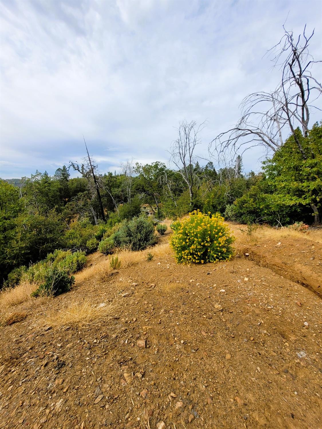 9985 Wendell Road Mountain Ranch, CA 95246 - Photo 66 of 83