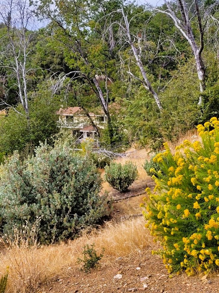 9985 Wendell Road Mountain Ranch, CA 95246 - Photo 67 of 83