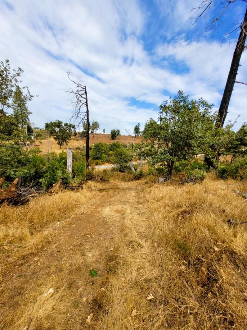 9985 Wendell Road Mountain Ranch, CA 95246 - Photo 68 of 83