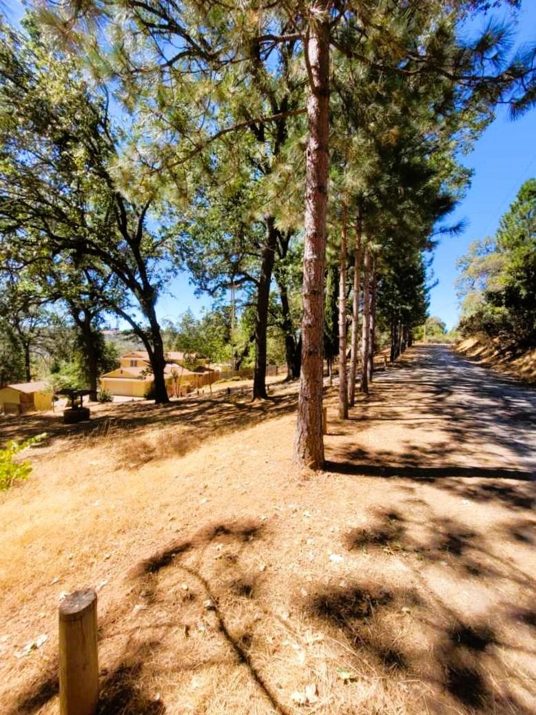 9985 Wendell Road Mountain Ranch, CA 95246 - Photo 71 of 83