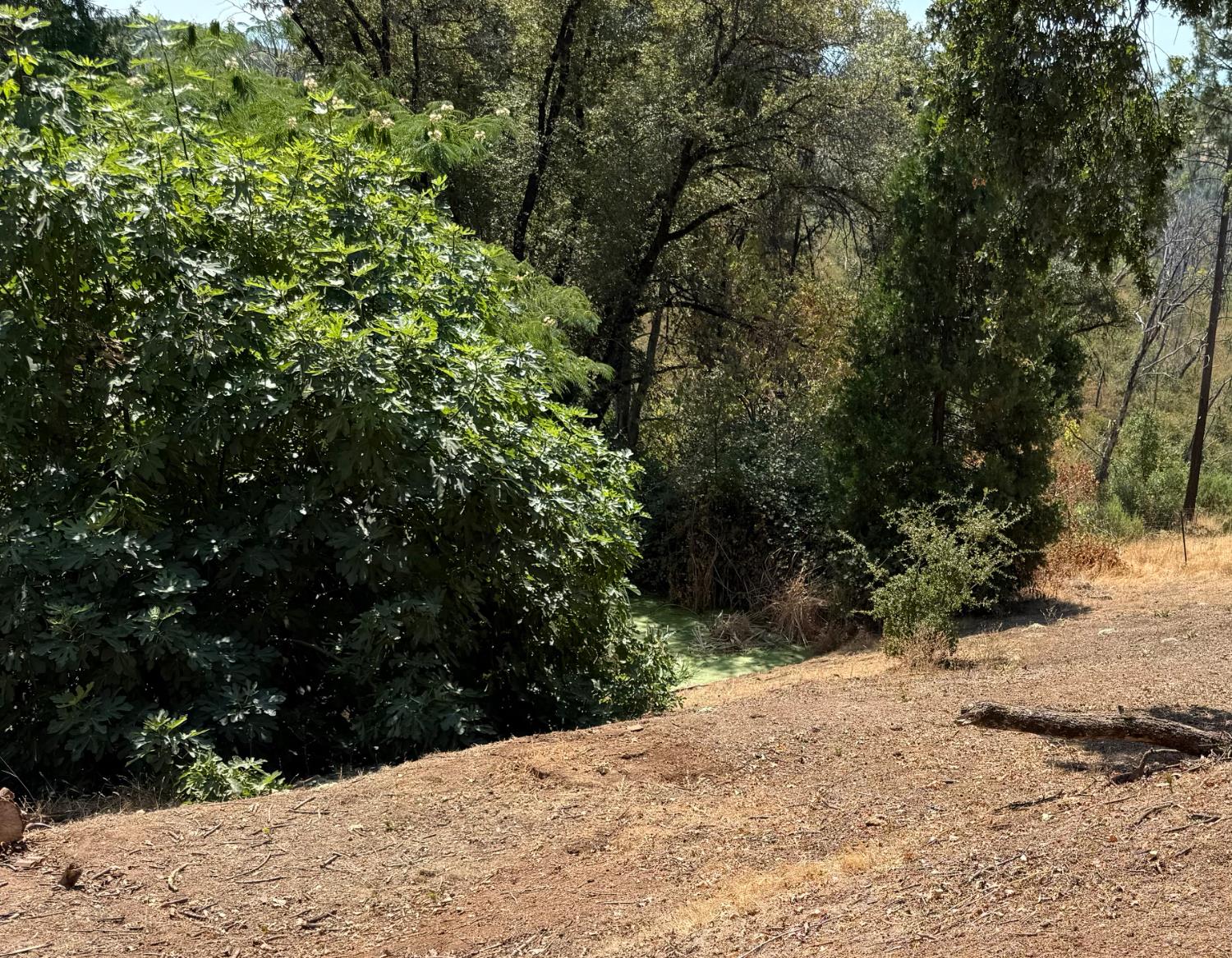 9985 Wendell Road Mountain Ranch, CA 95246 - Photo 74 of 83