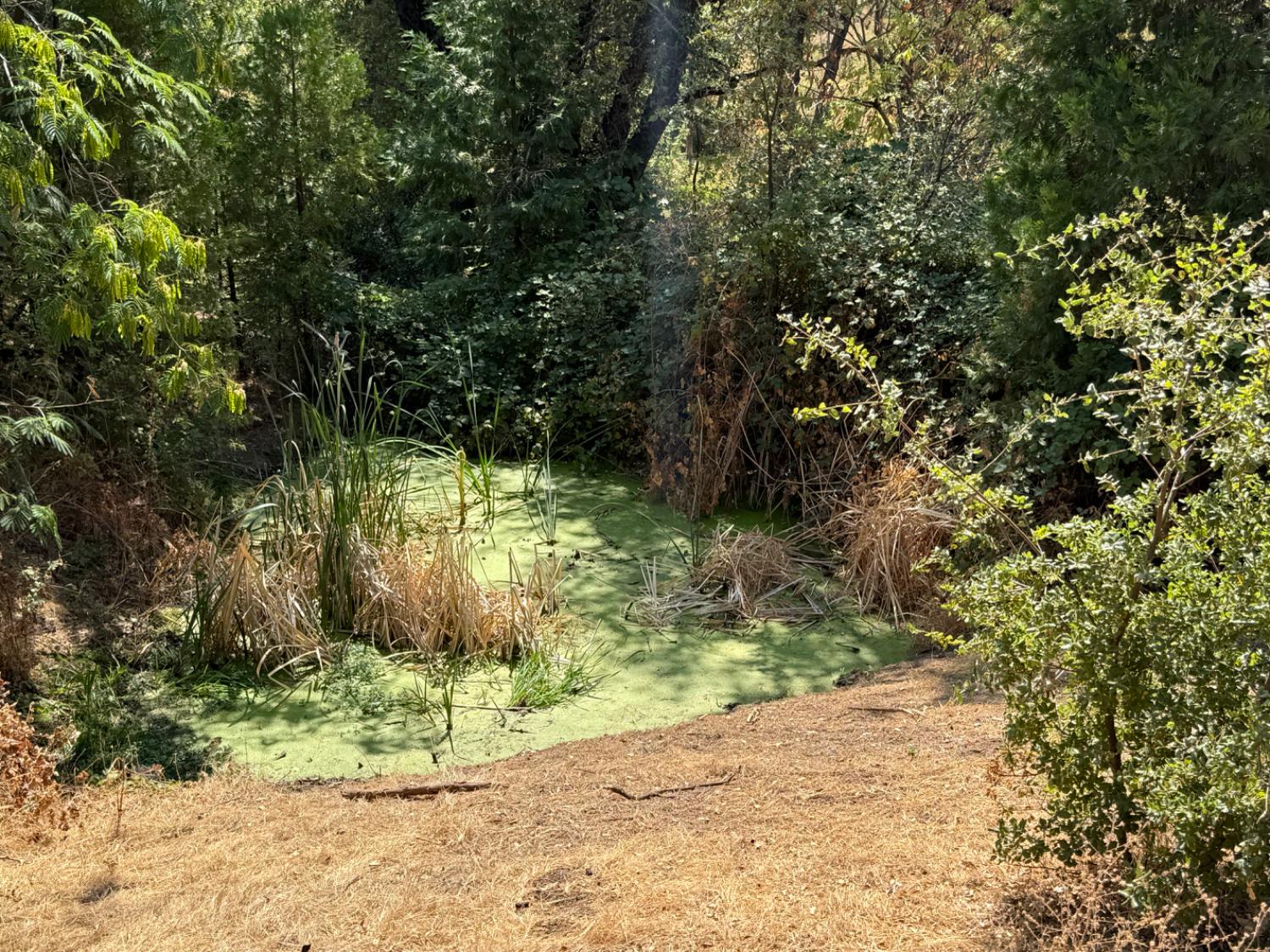 9985 Wendell Road Mountain Ranch, CA 95246 - Photo 75 of 83