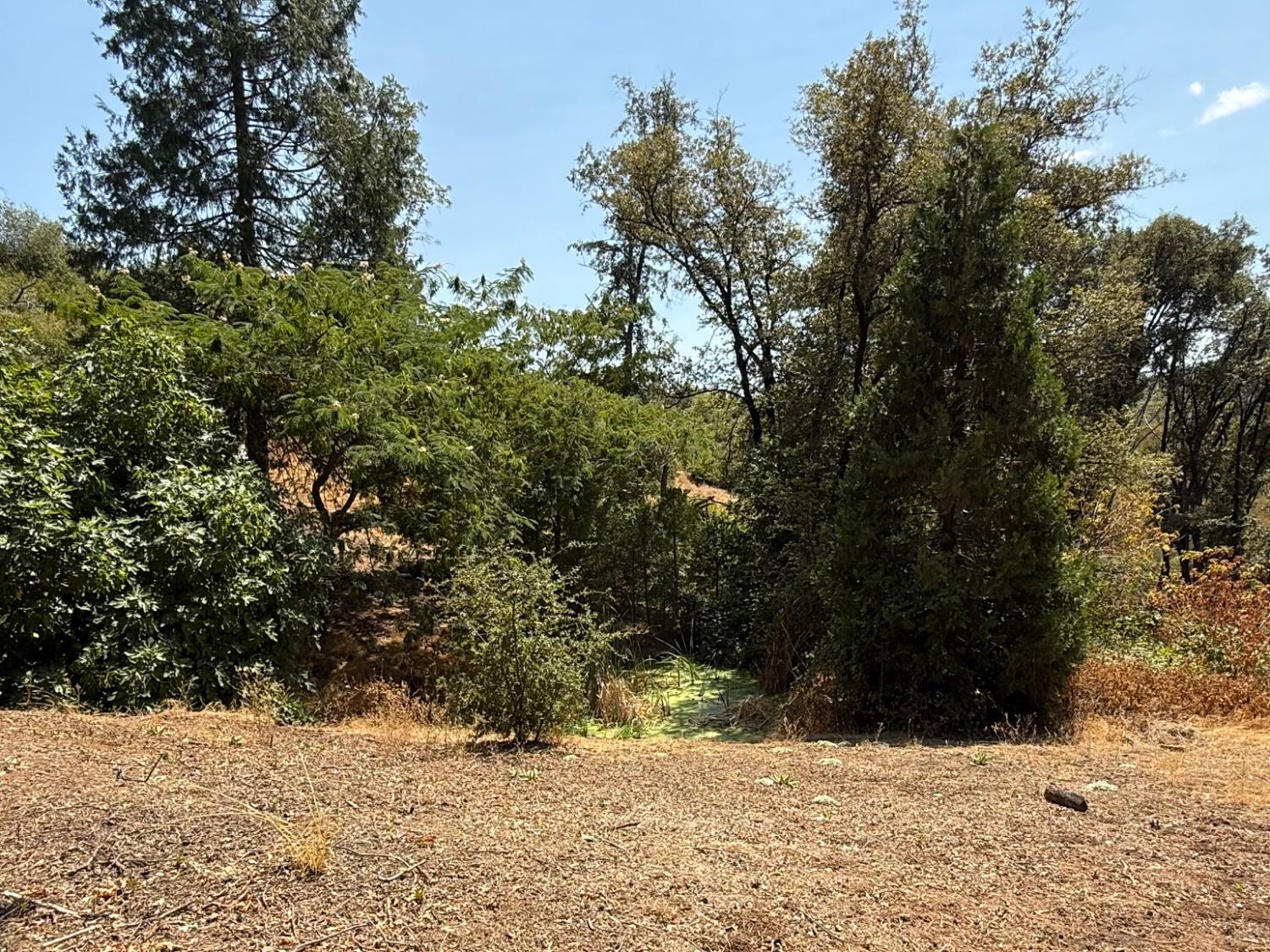 9985 Wendell Road Mountain Ranch, CA 95246 - Photo 76 of 83