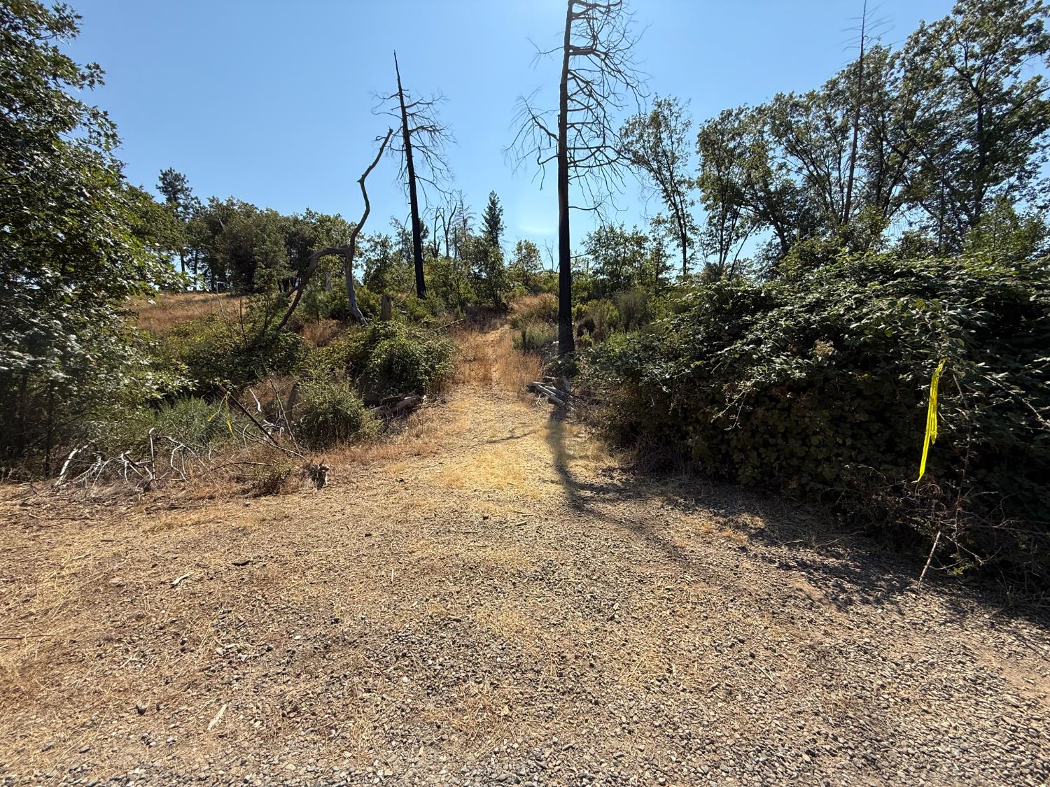 9985 Wendell Road Mountain Ranch, CA 95246 - Photo 78 of 83 Road that leads to potential building site.