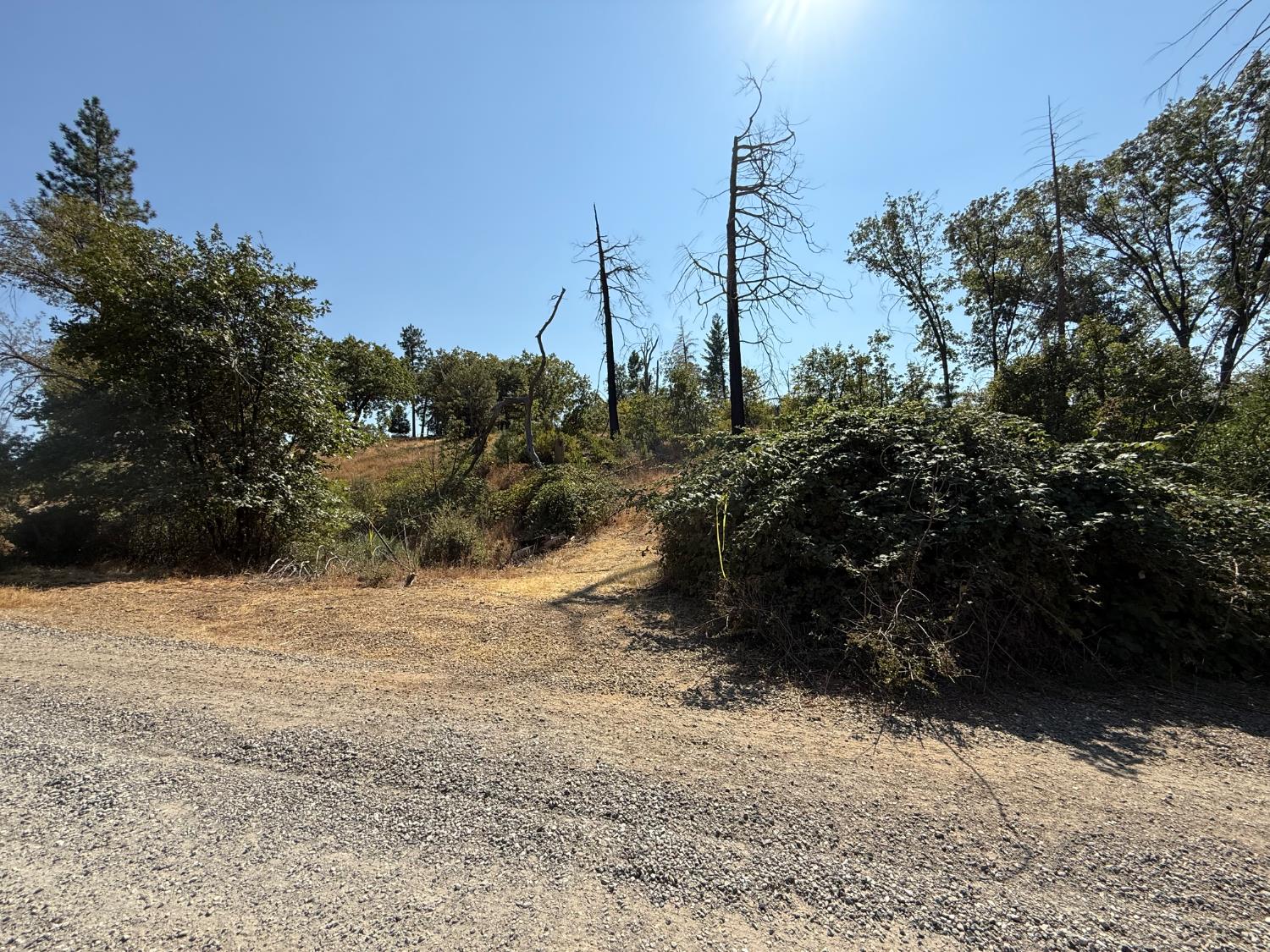 9985 Wendell Road Mountain Ranch, CA 95246 - Photo 80 of 83