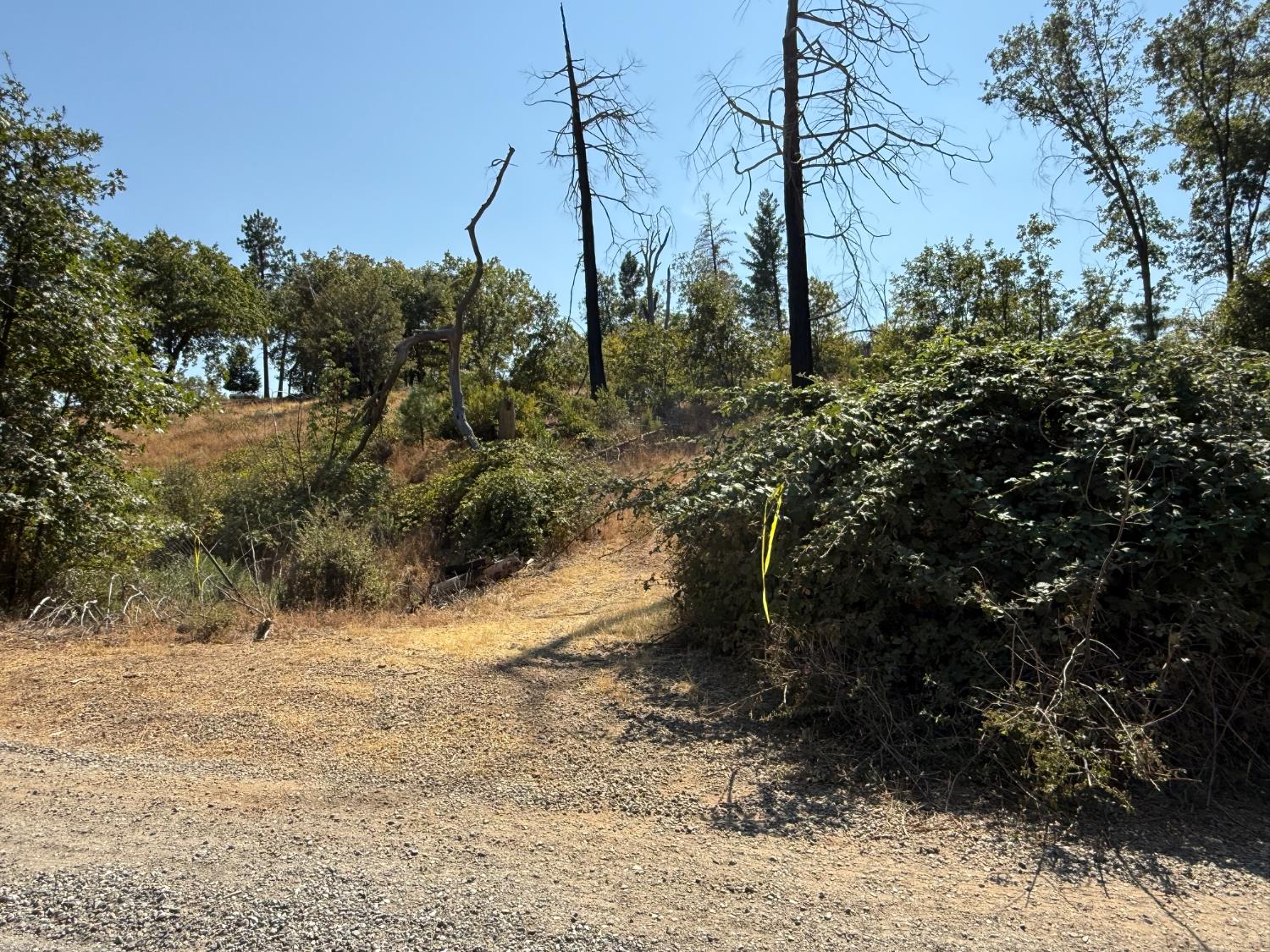 9985 Wendell Road Mountain Ranch, CA 95246 - Photo 81 of 83