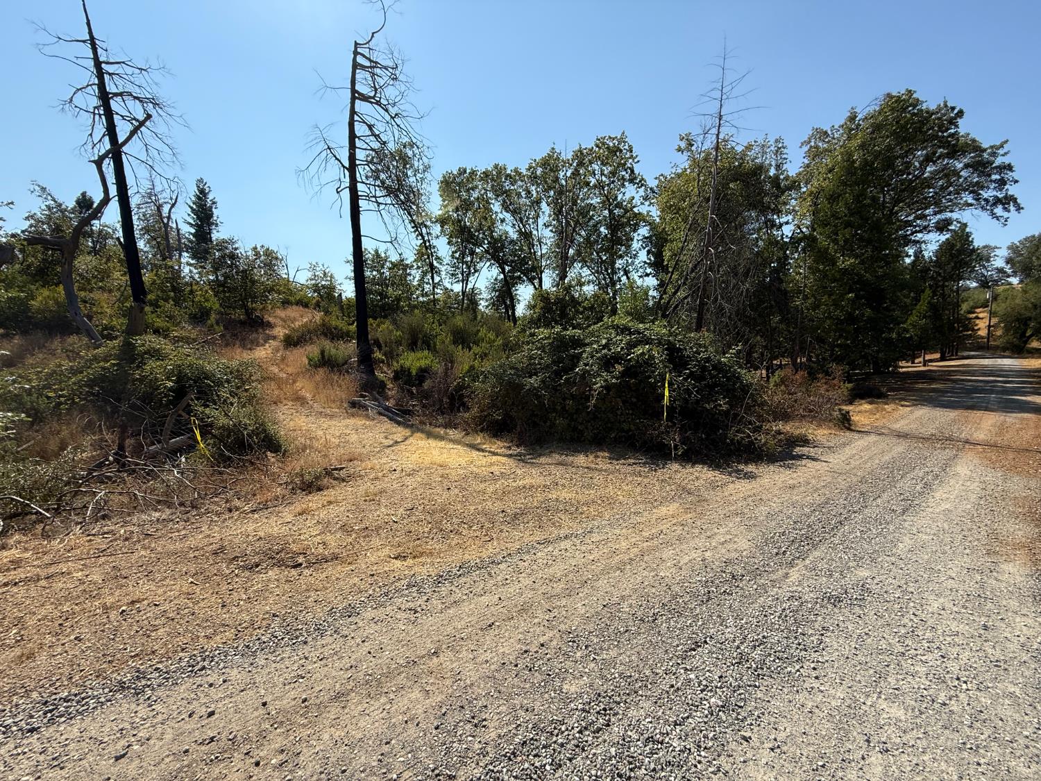 9985 Wendell Road Mountain Ranch, CA 95246 - Photo 82 of 83