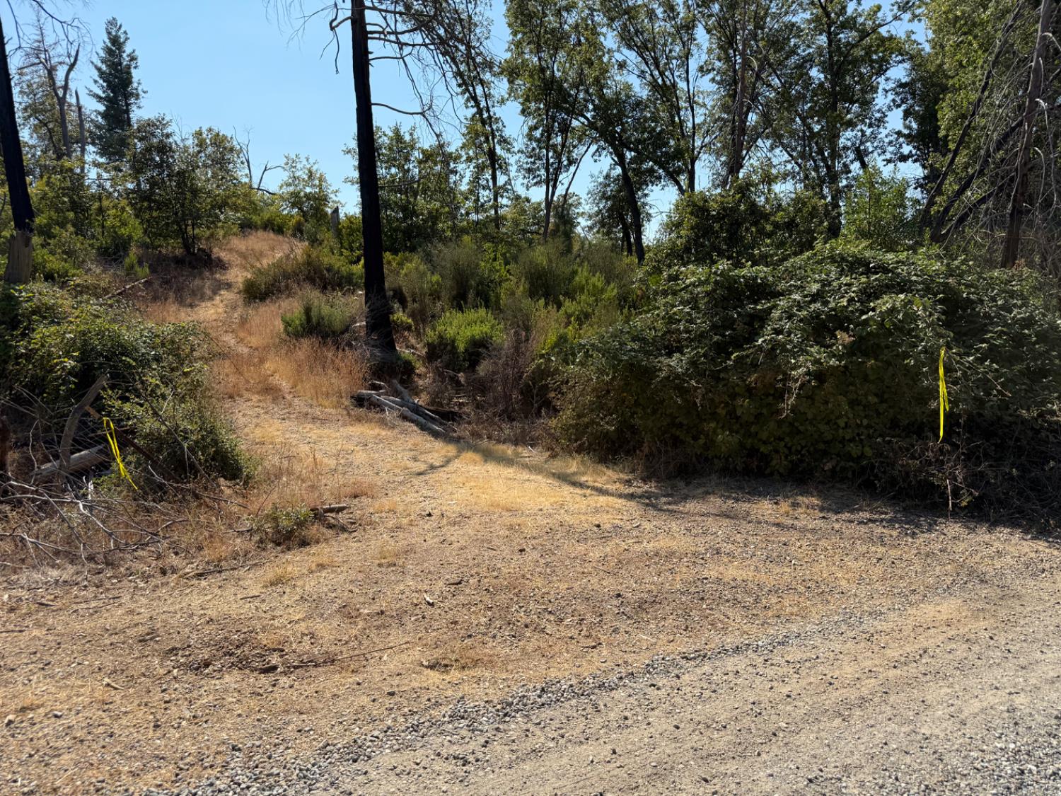 9985 Wendell Road Mountain Ranch, CA 95246 - Photo 83 of 83
