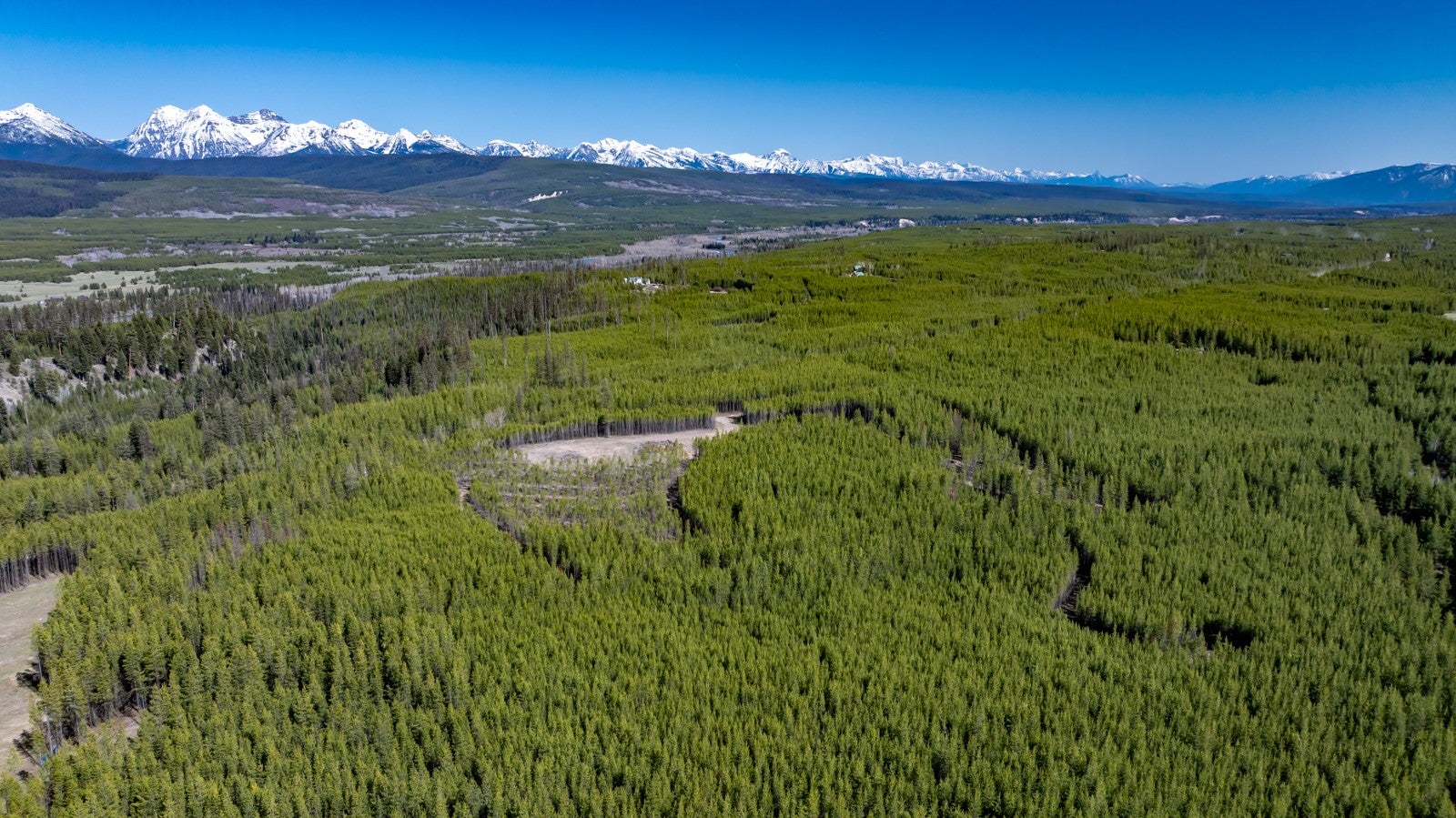 11547 North Fork Road Polebridge, MT 59928 - Photo 1 of 1 Drone view looking southeast over the expansive 20 acreas property