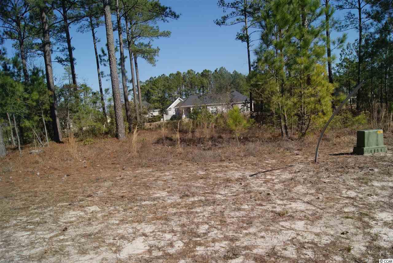 752 Chisholm Road Myrtle Beach, SC 29579 - Photo 2 of 17 Gallery Image 2
