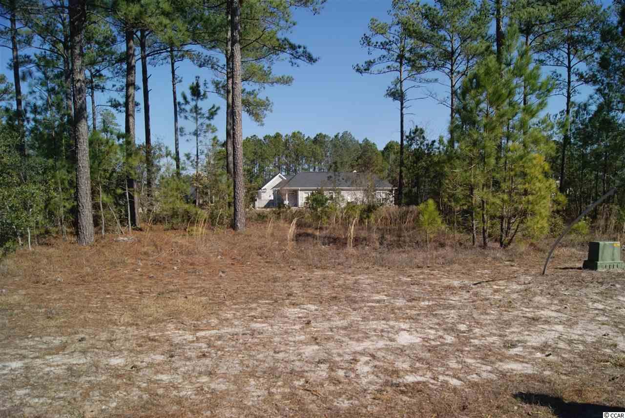 752 Chisholm Road Myrtle Beach, SC 29579 - Photo 3 of 17 Gallery Image 3