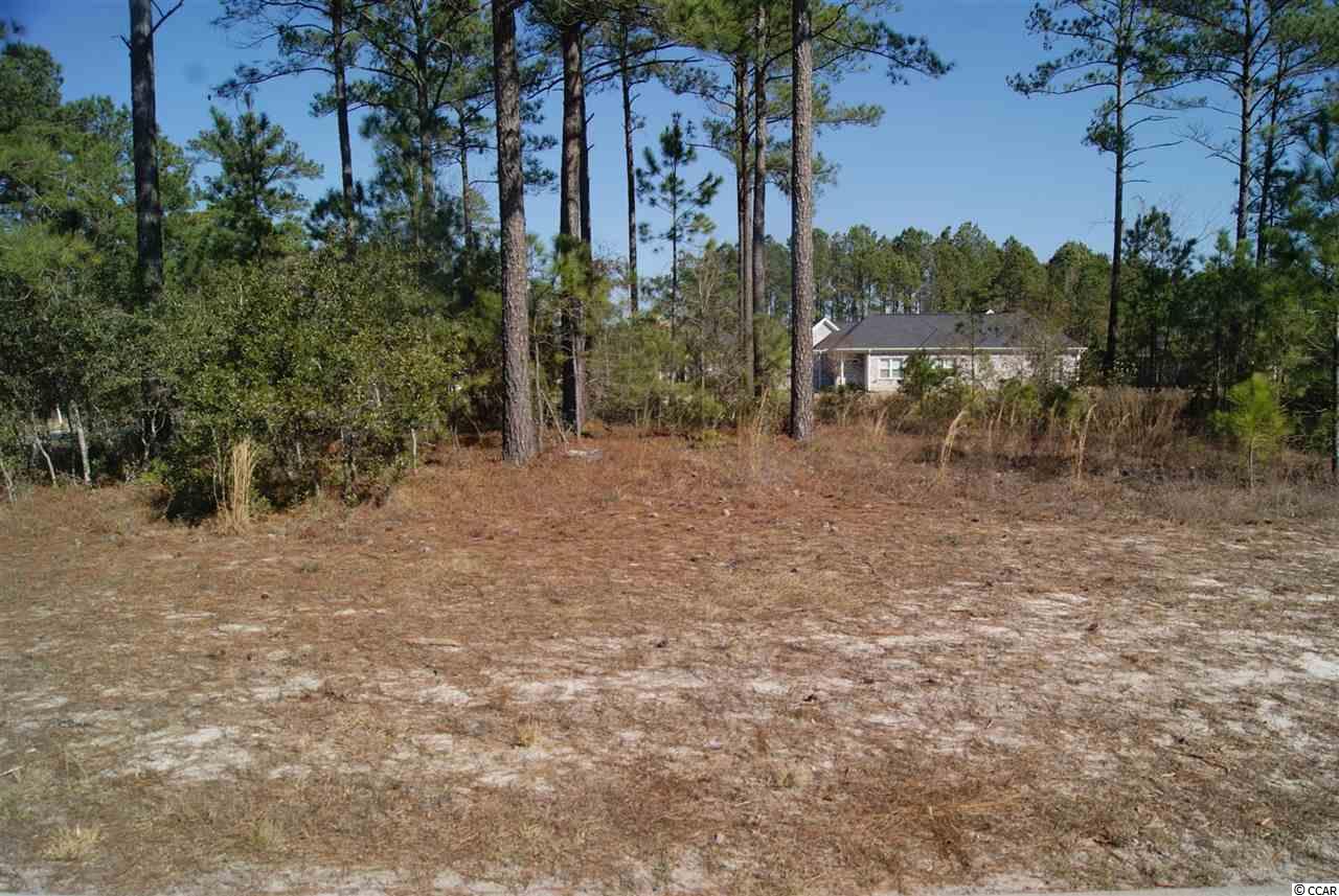752 Chisholm Road Myrtle Beach, SC 29579 - Photo 4 of 17 Gallery Image 4