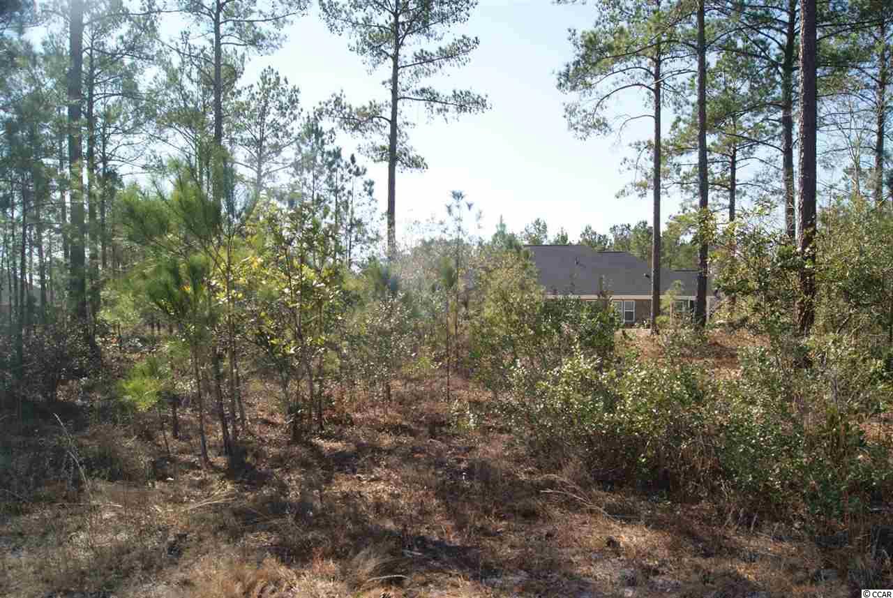 752 Chisholm Road Myrtle Beach, SC 29579 - Photo 9 of 17 Gallery Image 9