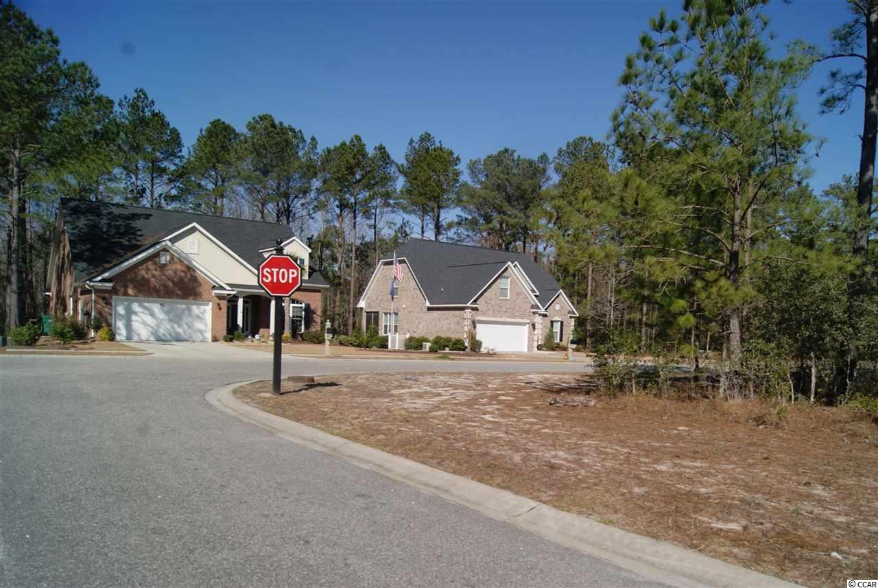 752 Chisholm Road Myrtle Beach, SC 29579 - Photo 10 of 17 Gallery Image 10