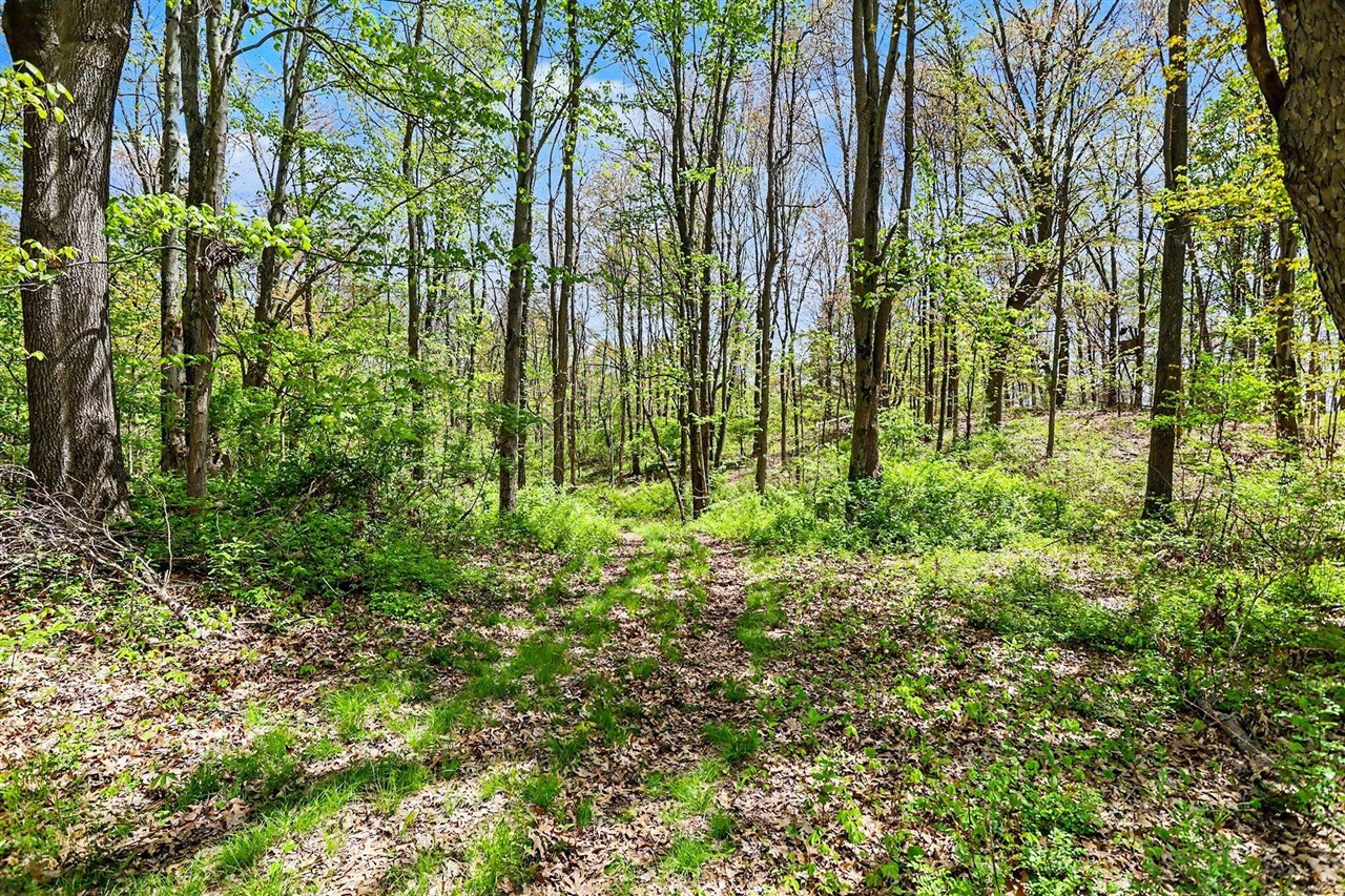 North Uldriks Road Battle Creek, MI 49017 - Photo 3 of 13