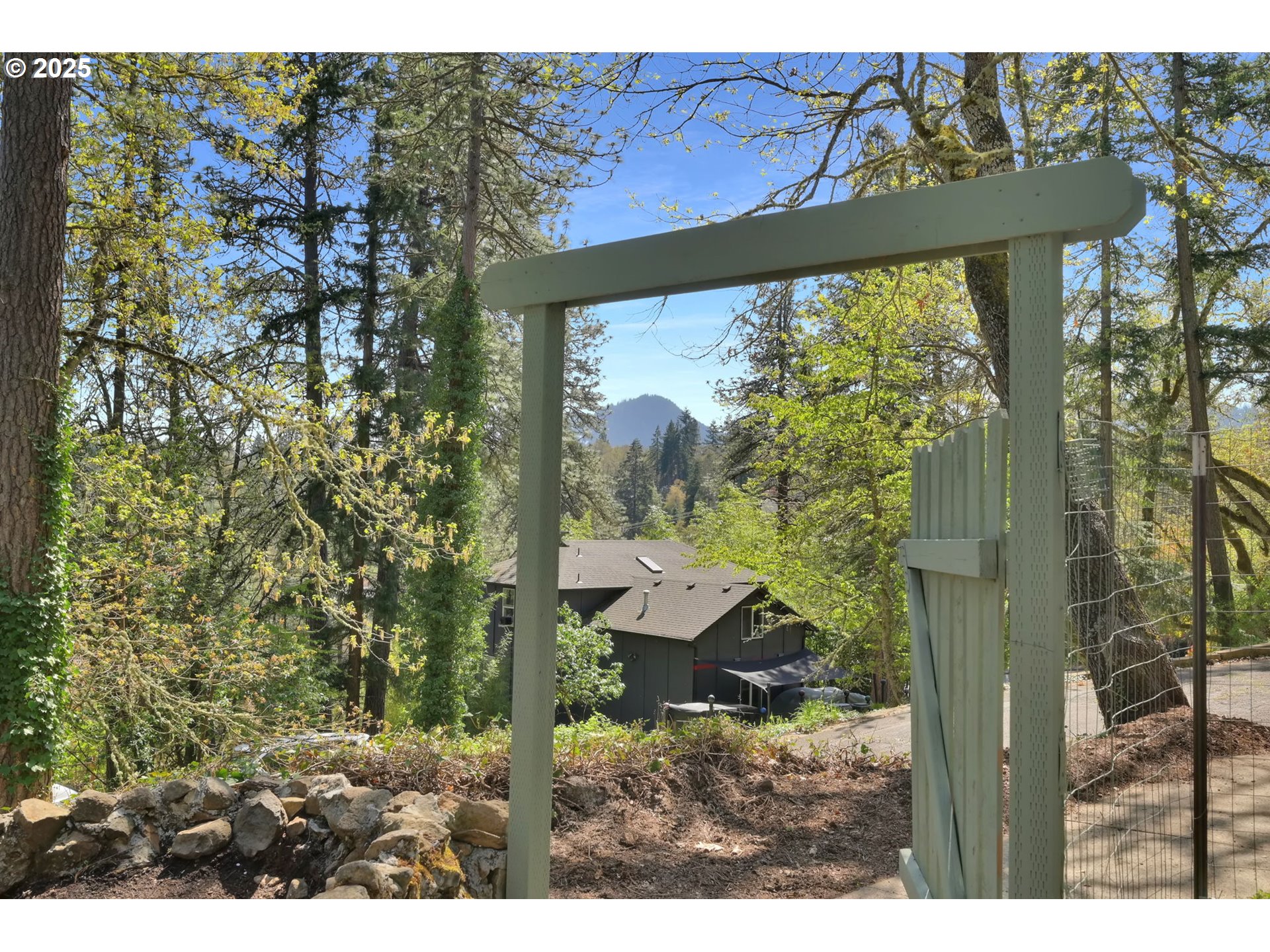 22 Prall Lane Eugene, OR 97405 - Photo 36 of 43 a view of a yard with plants
