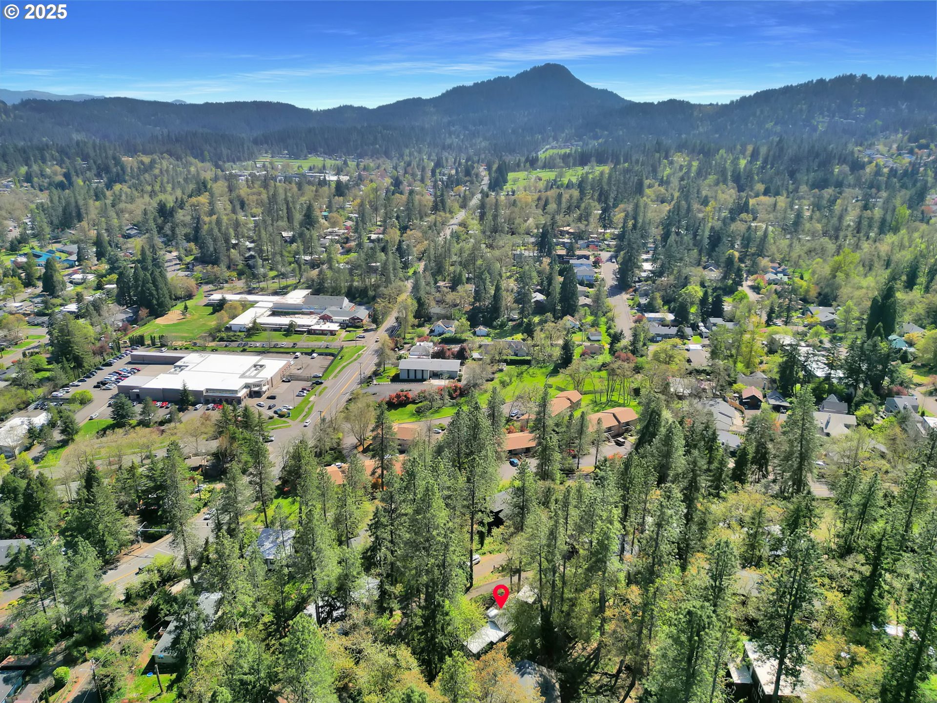 22 Prall Lane Eugene, OR 97405 - Photo 42 of 43 a view of a city with mountain