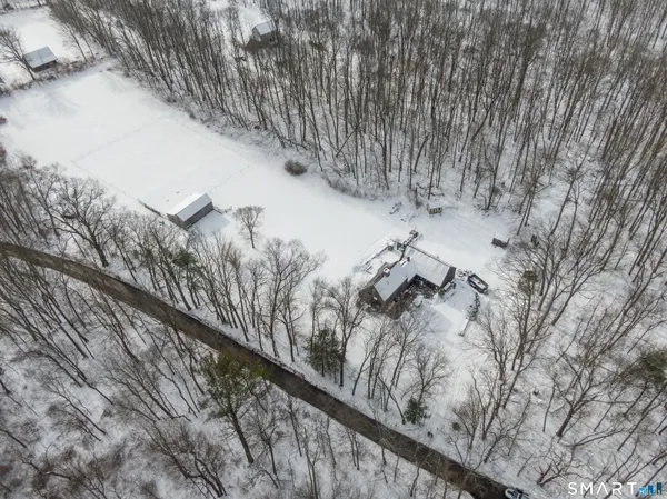 a view of a forest with a snow