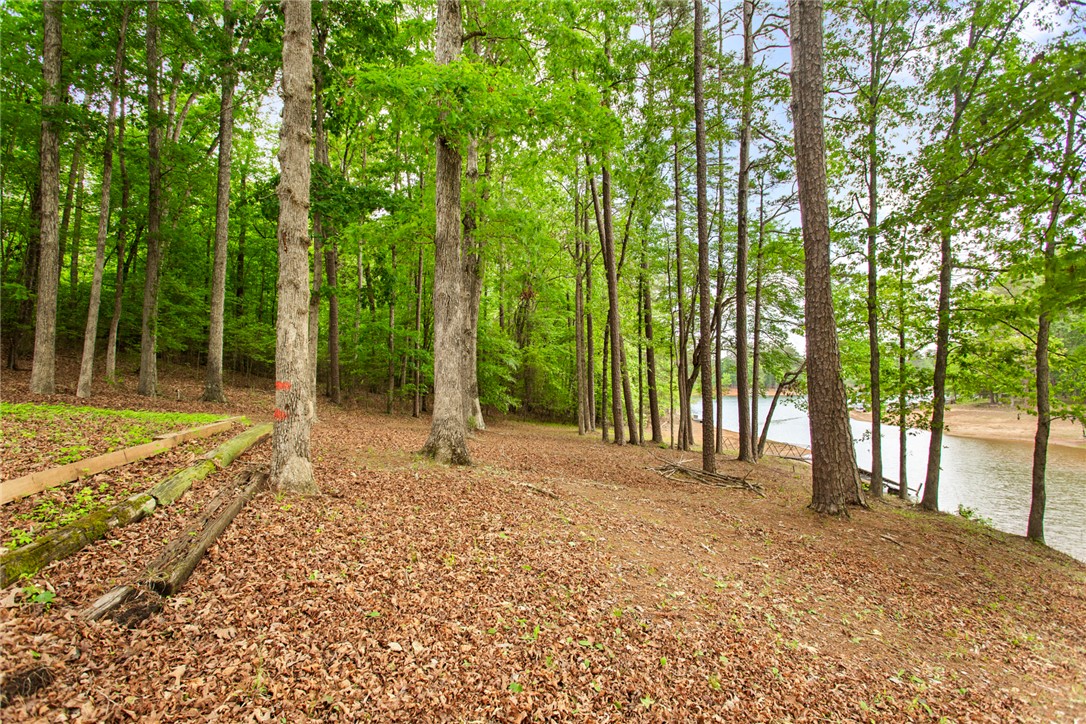 200 Mullins Ford Landing Road Westminster, SC 29693 - Photo 41 of 47