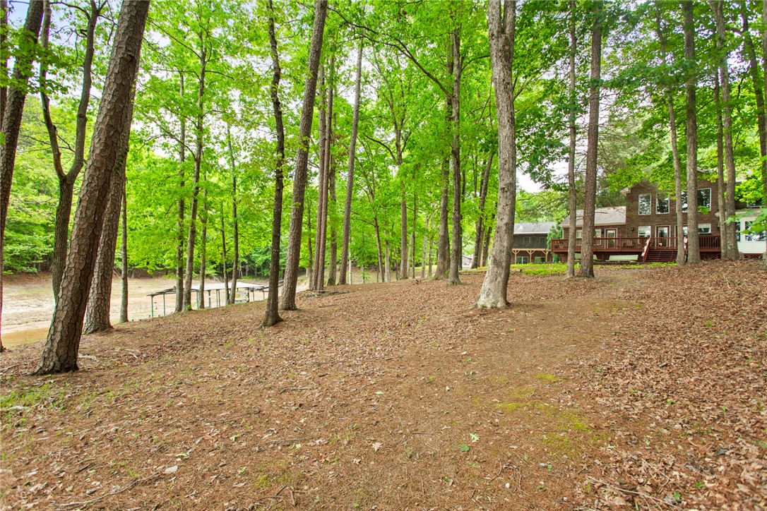200 Mullins Ford Landing Road Westminster, SC 29693 - Photo 47 of 47