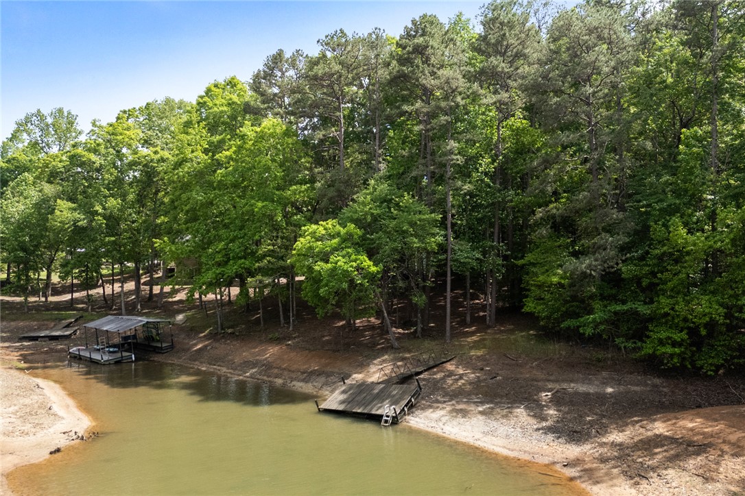 200 Mullins Ford Landing Road Westminster, SC 29693 - Photo 5 of 47